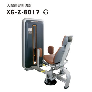 xg-z-6017-2